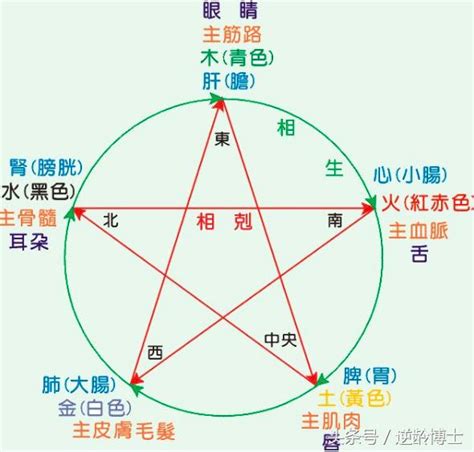 自己屬性|五行屬性解惑秘笈，教你輕鬆辨別你的命理本色